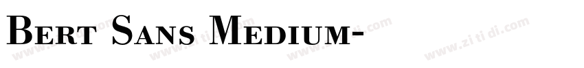 Bert Sans Medium字体转换